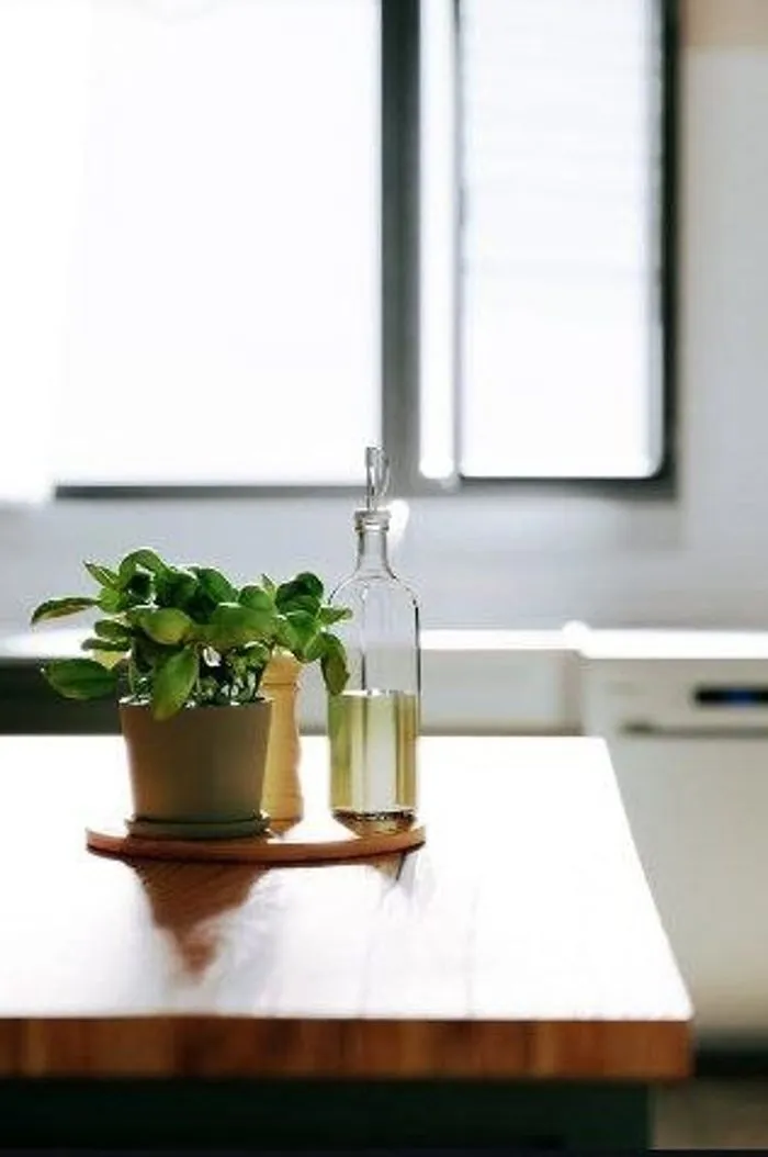 Plant and oil bottle on a timber kitchen island beside a bright window